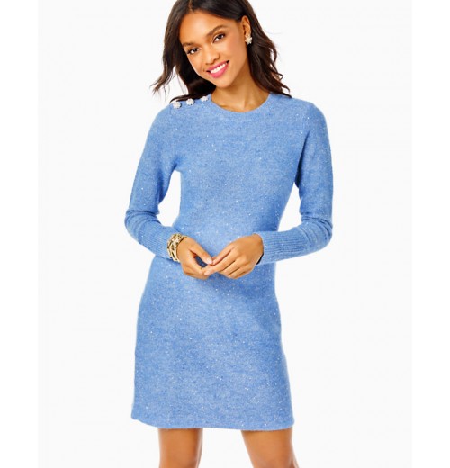 Morgen Sequin Sweater Dress