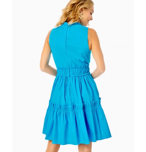 Elina Stretch Ruffle Dress